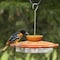 Audubon Oriole Plastic Jelly and Nectar Station Bird Feeder 8 ports NAO1 - alternate 2